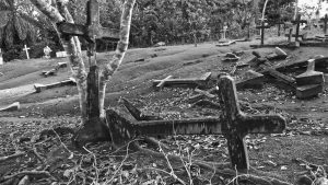 Fordlandia malaise 1