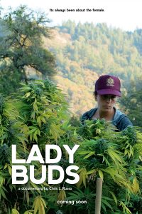 Lady Buds - Affiche