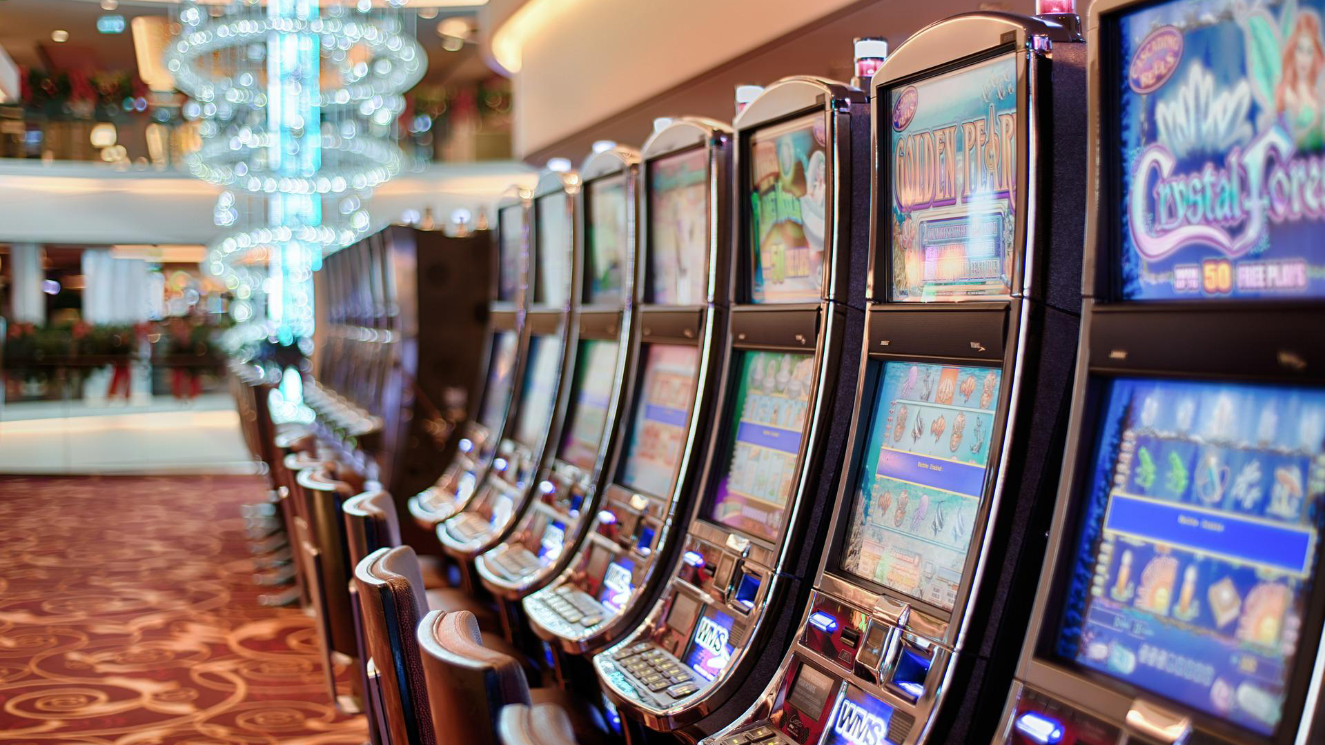 Le blog parlera de casino informations populaires.