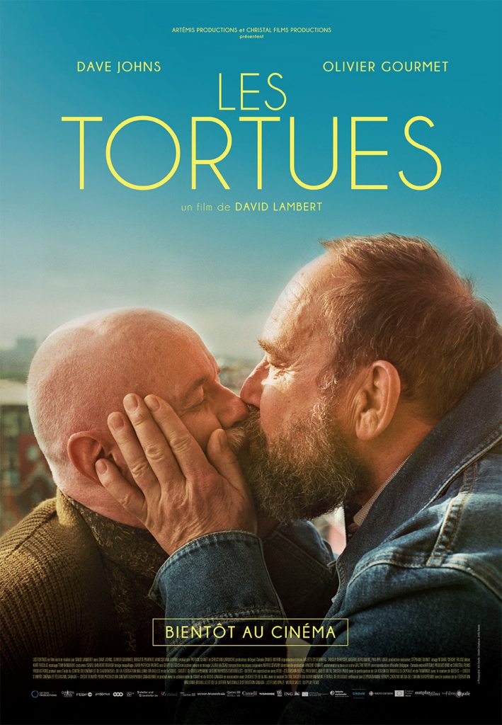 Les tortues - Affiche