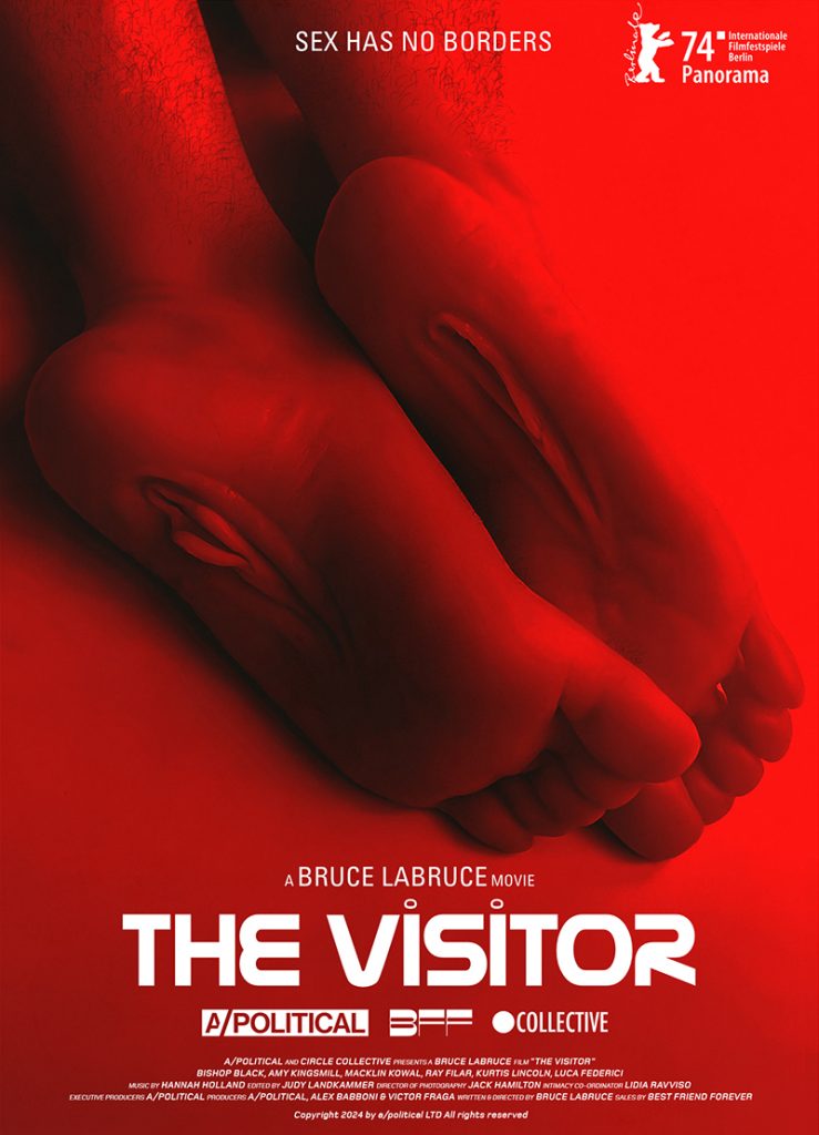 The Visitor - Affiche