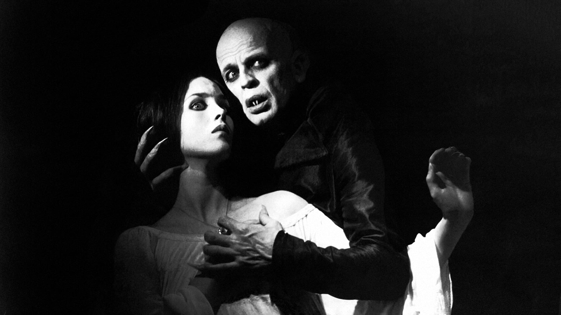 Nosferatu Herzog - Retour sur deux monuments du cinéma fantastique