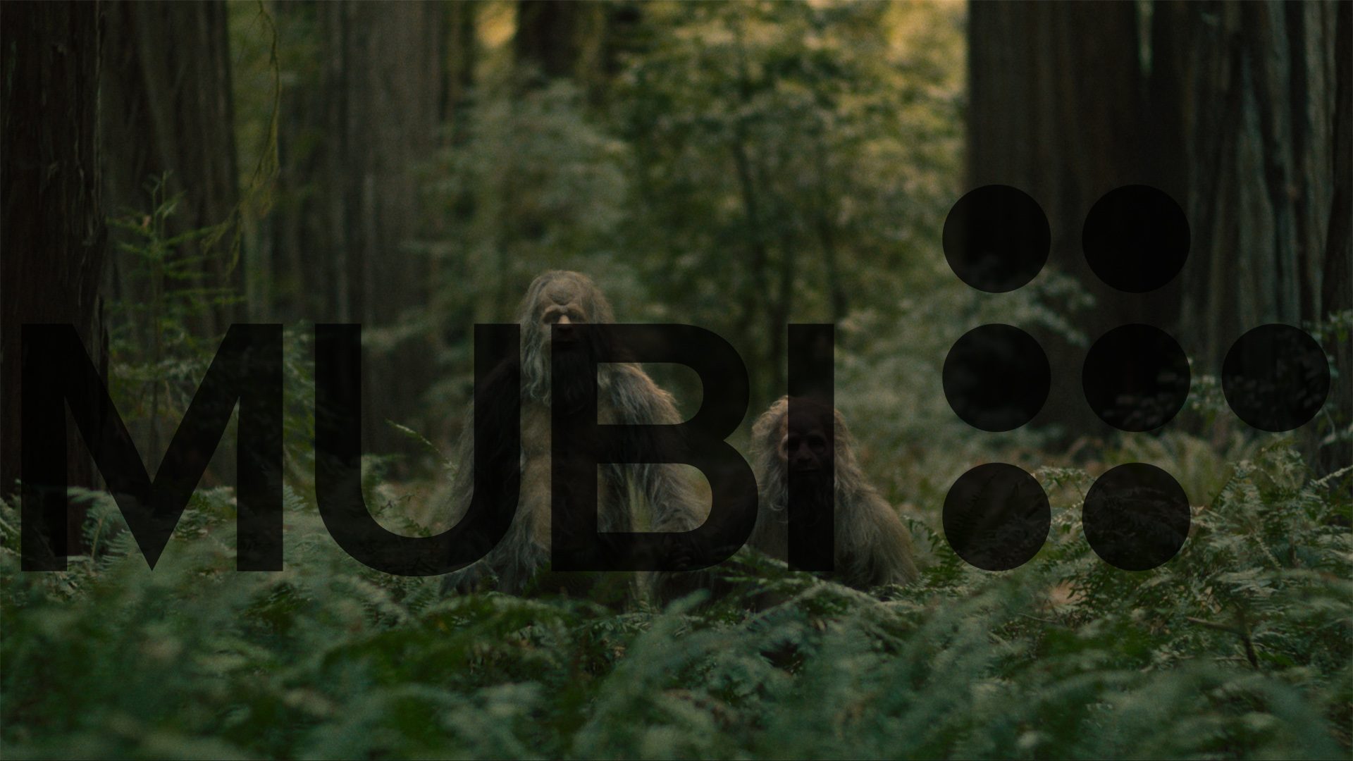 Nouveautés Mubi mai 2025 - Une