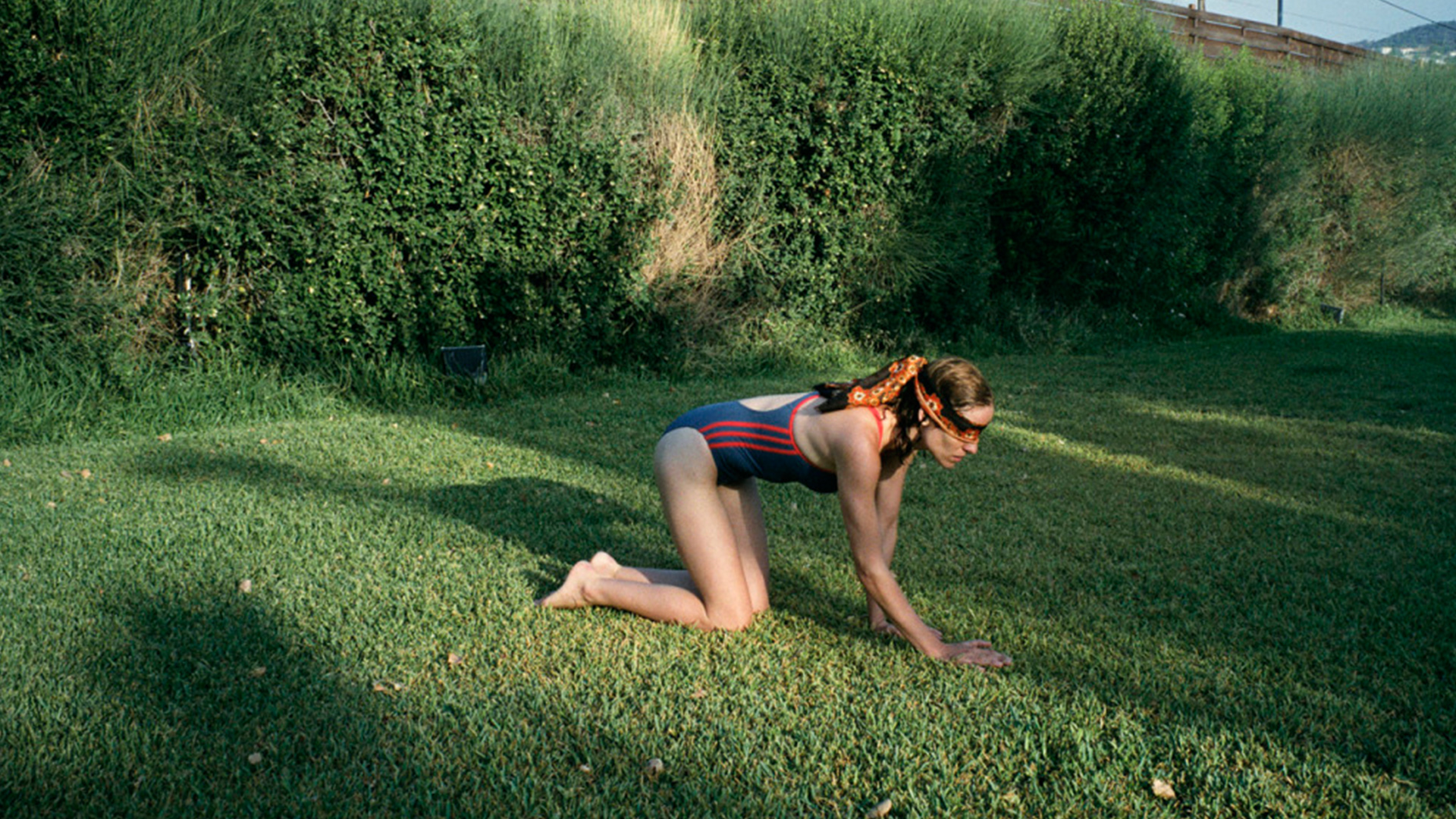 Dogtooth - Une