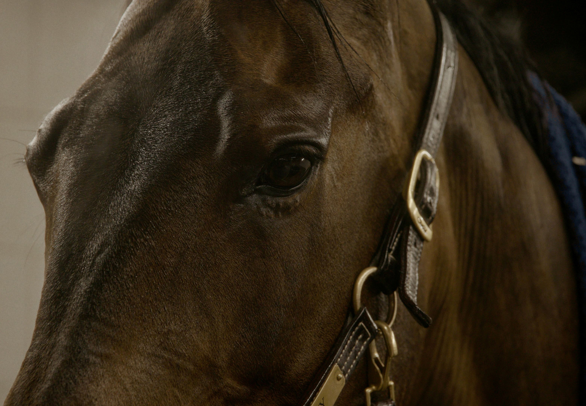 Travelling_Air Horse One