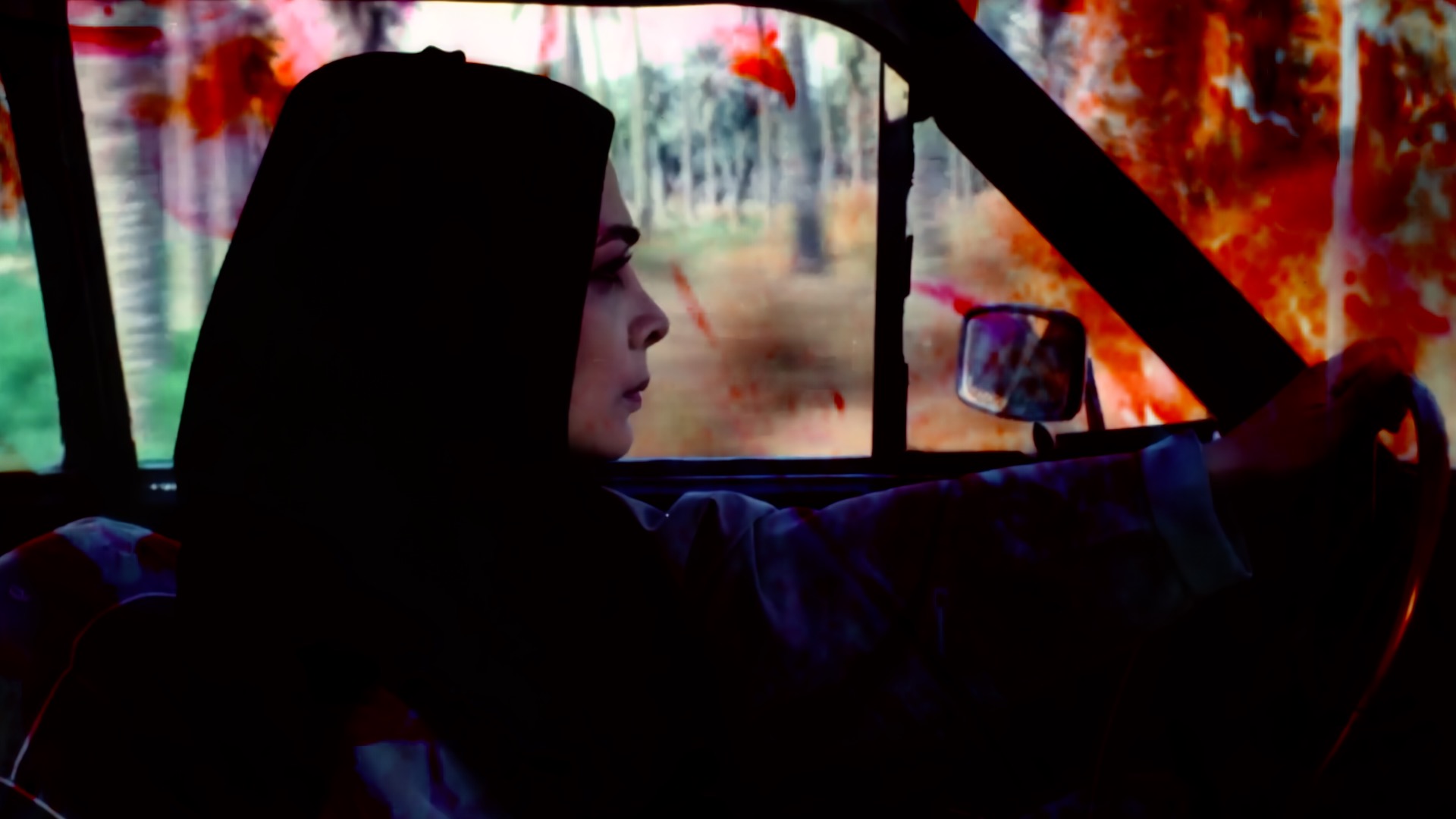 DARIA'S NIGHT FLOWERS - Programme 4 - LNA
