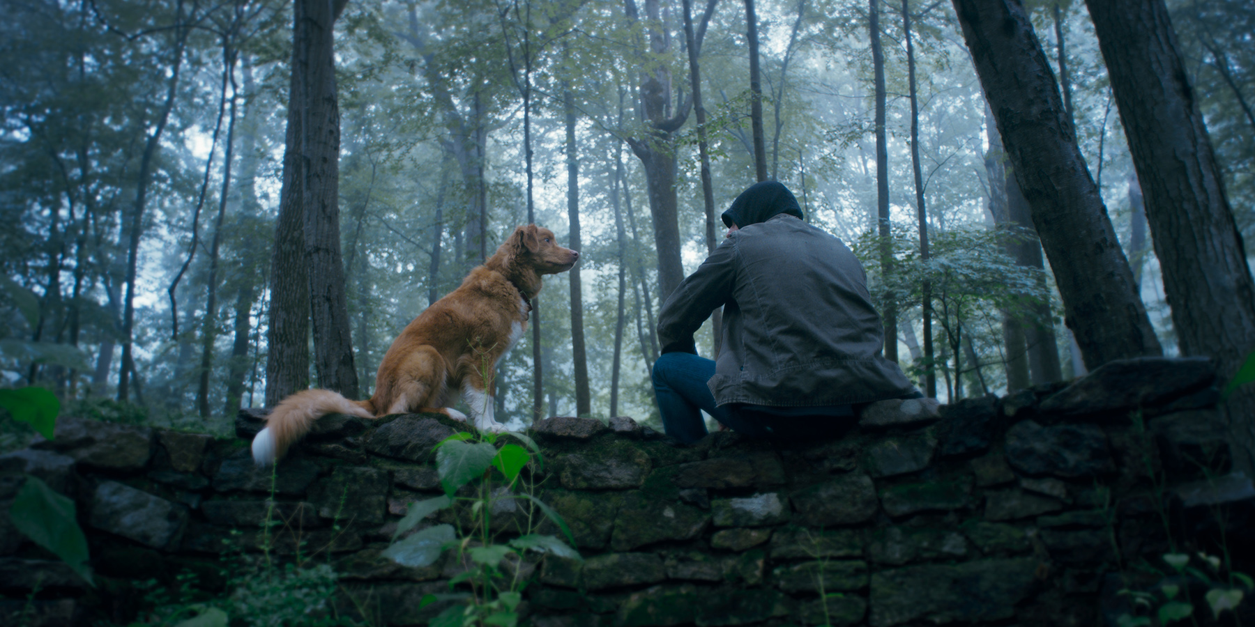 GOOD BOY - Un autre regard