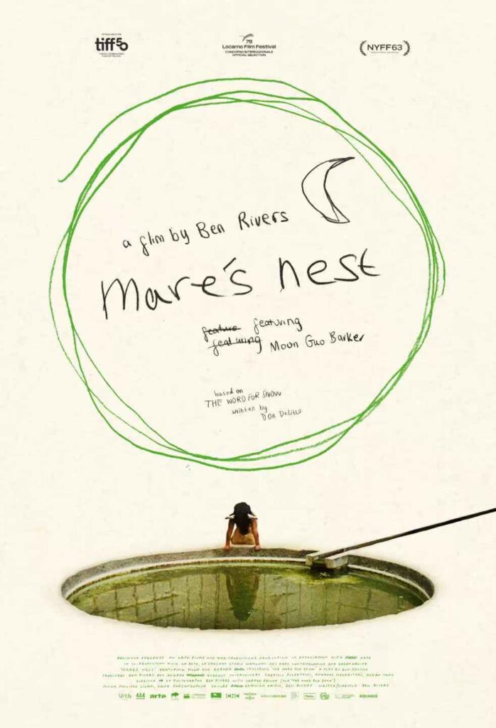 Mare's nest - poster