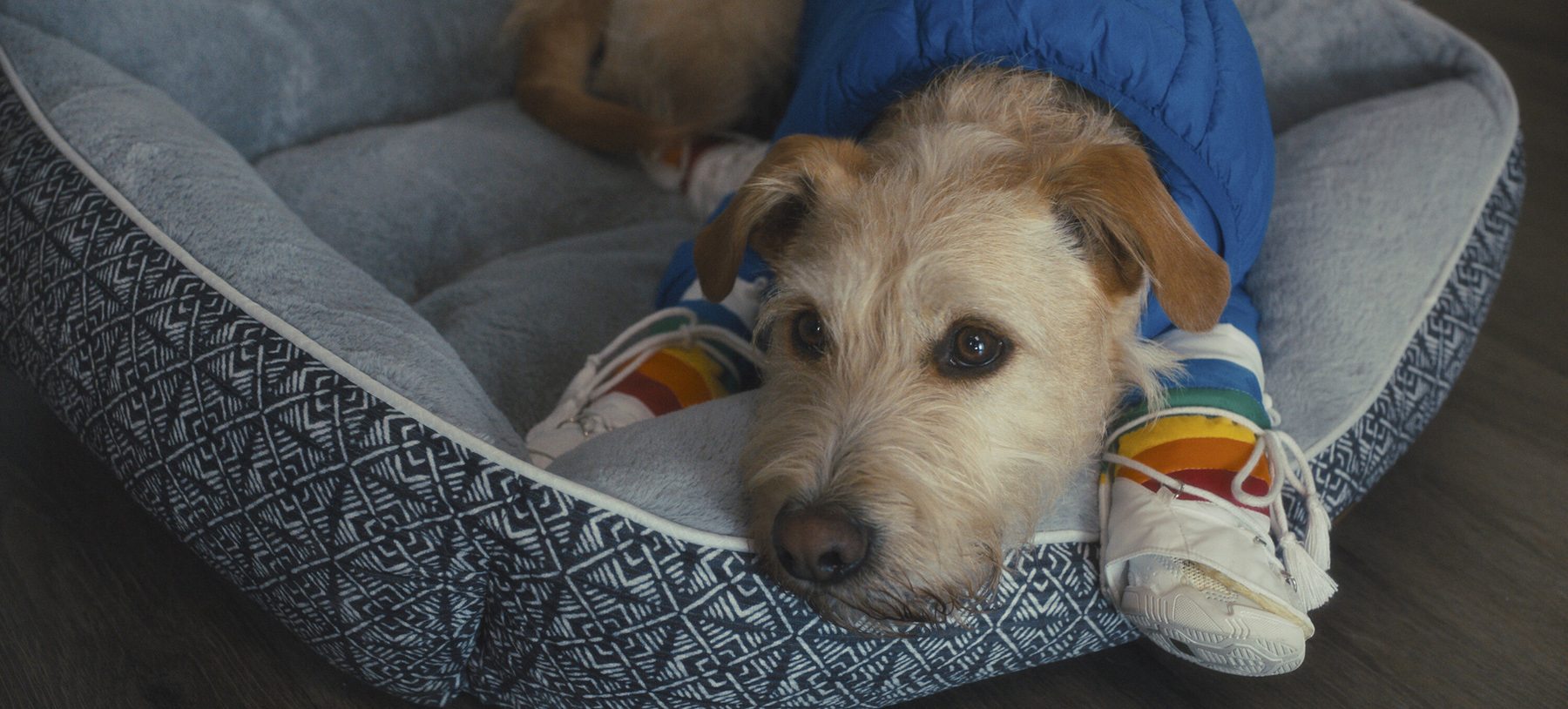 MERV | Photo Credit: Prime © Amazon Content Services LLC