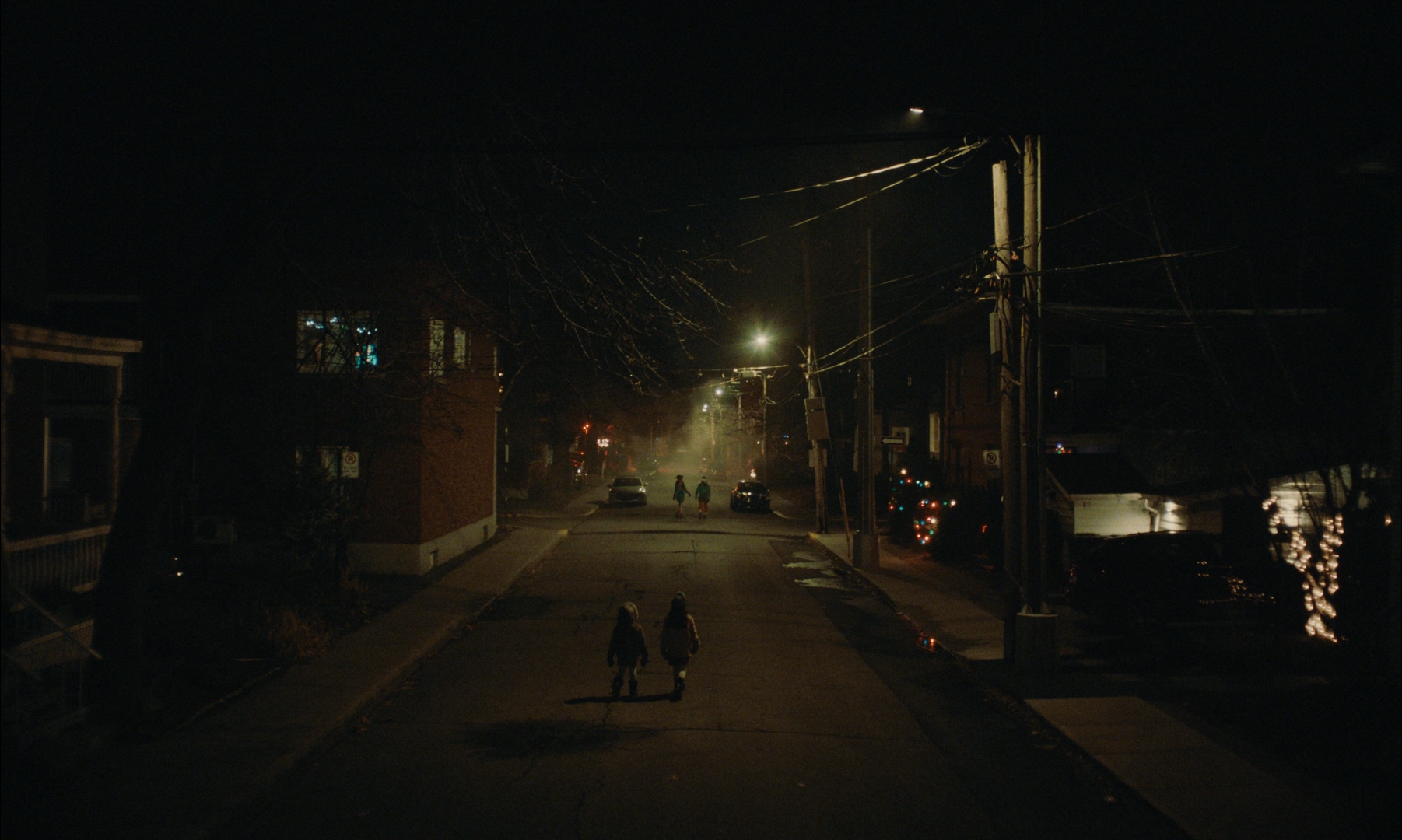 Les faux sapins - Travelling