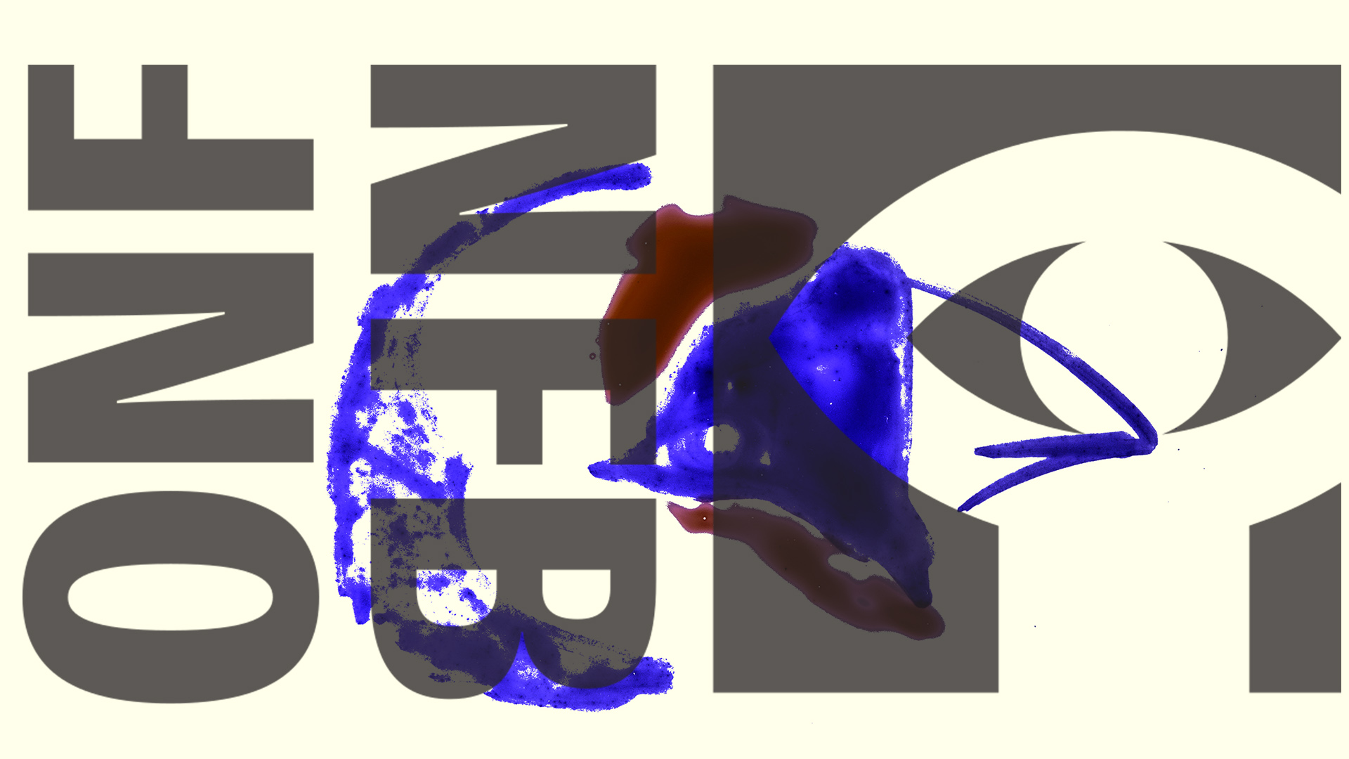 Nouveautés ONF - Janvier 2026 - Une