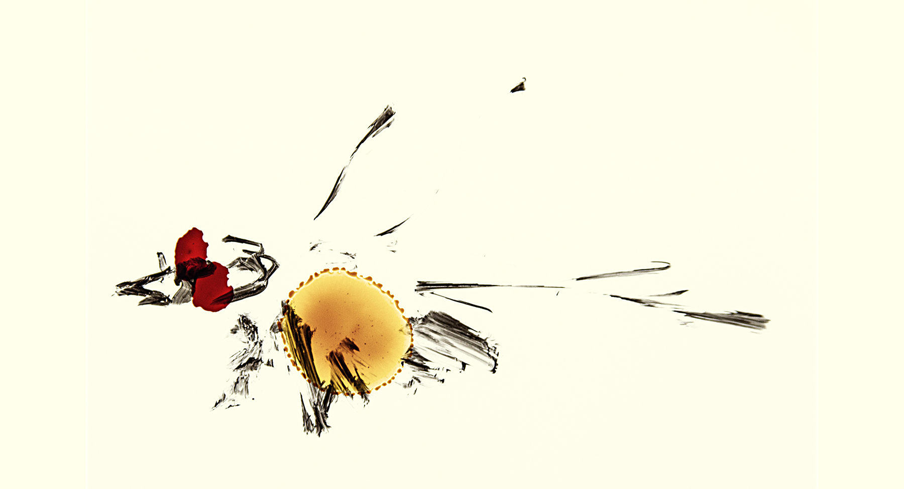 Samaa ONF Janvier 2026