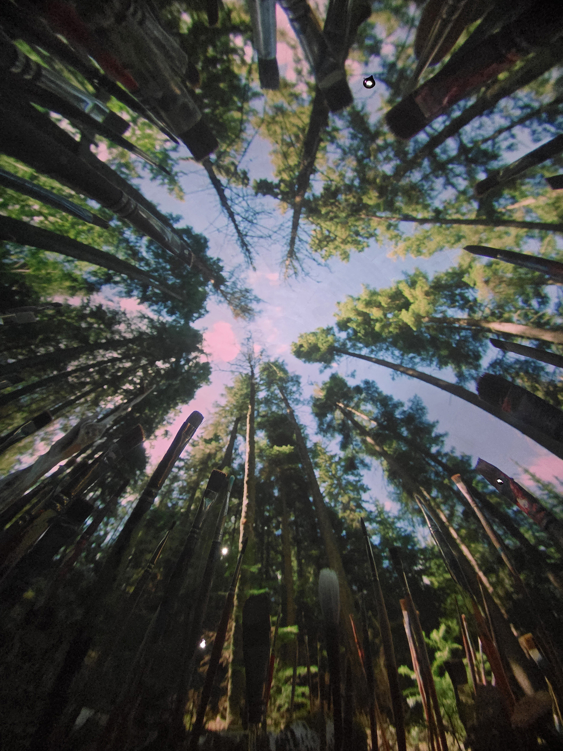 Art autochtone en 360