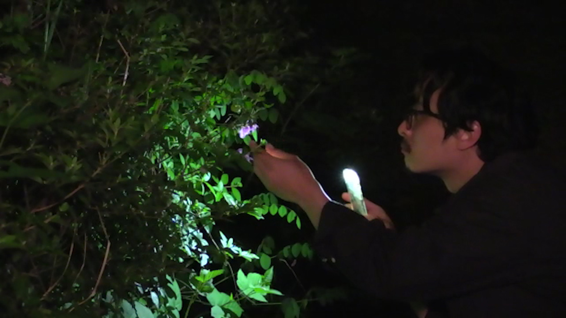 What Does That Nature Say To You - Hong-Sang-soo - Une