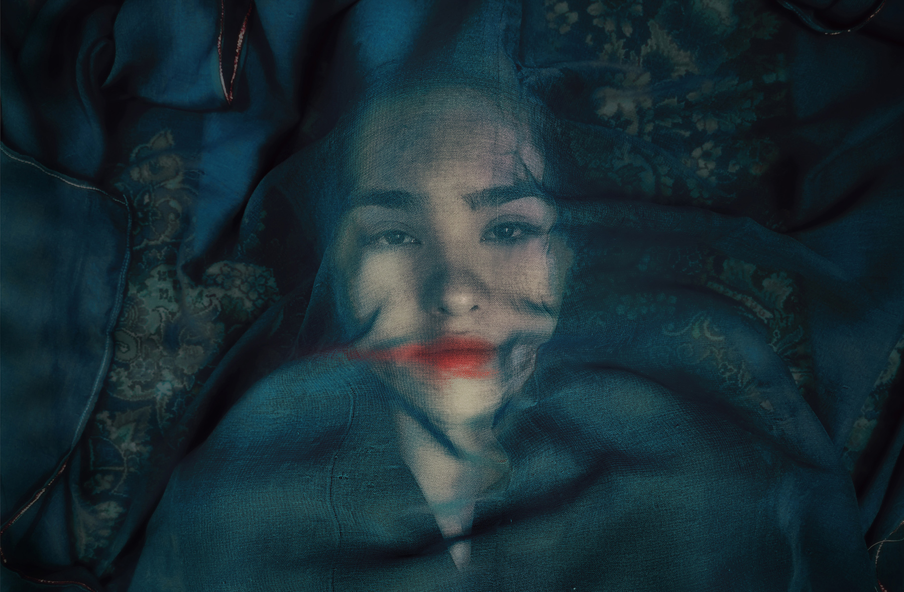 A fox under a pink moon - Coréalisation à distance