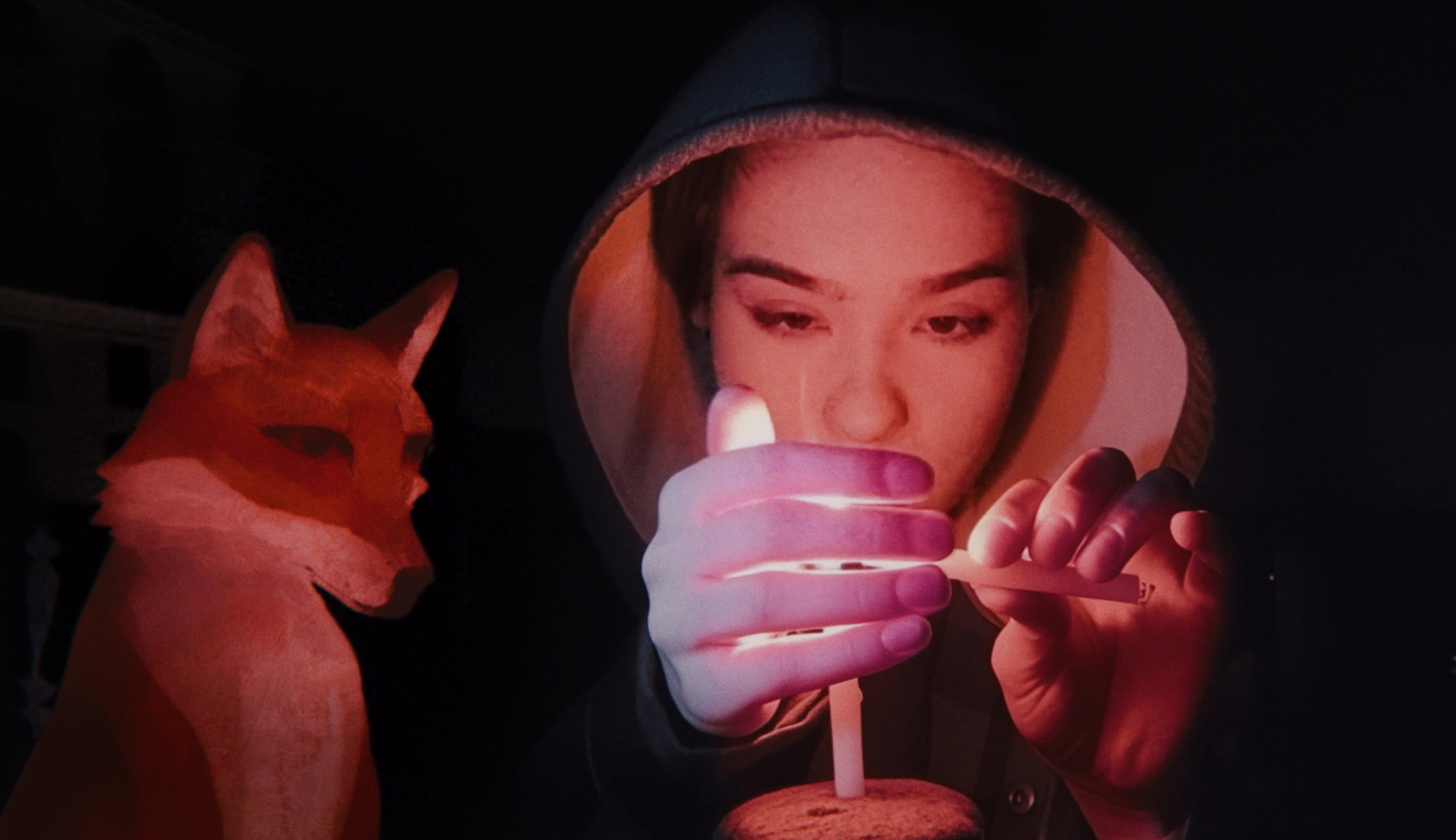 A fox under a pink moon - Survivre