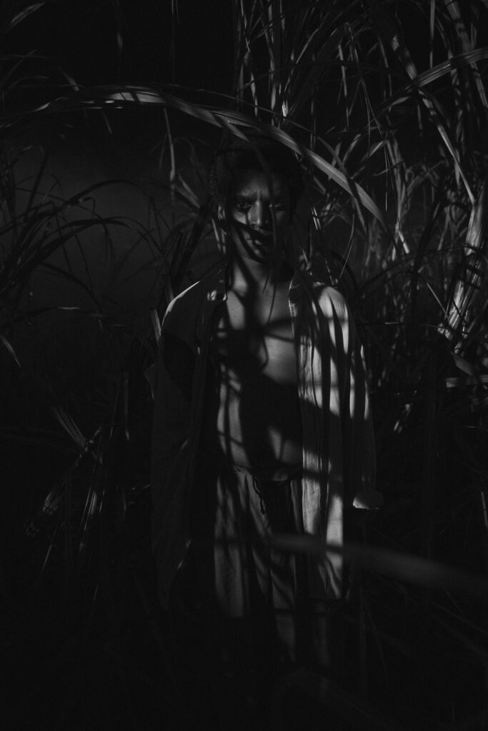 Black Zombie - Un mythe occidentalisé