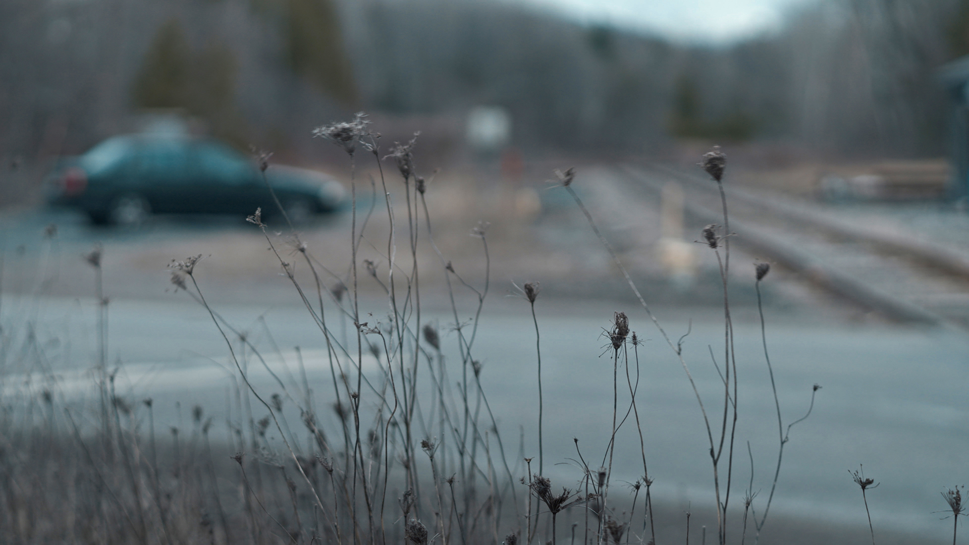 Nouveautés ONF avril 2026 - Une