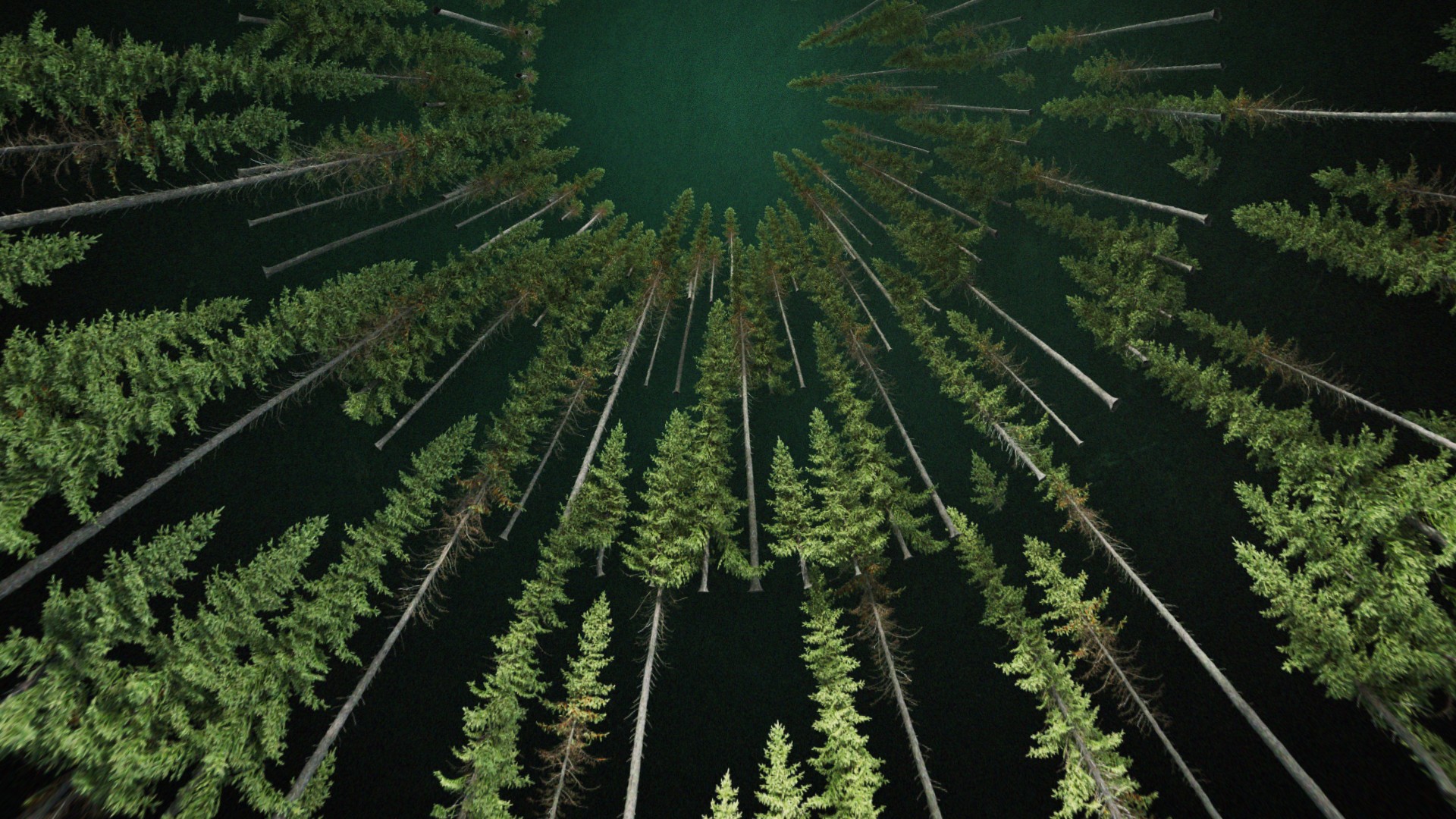 Rêveries - Quand le format devient expérience