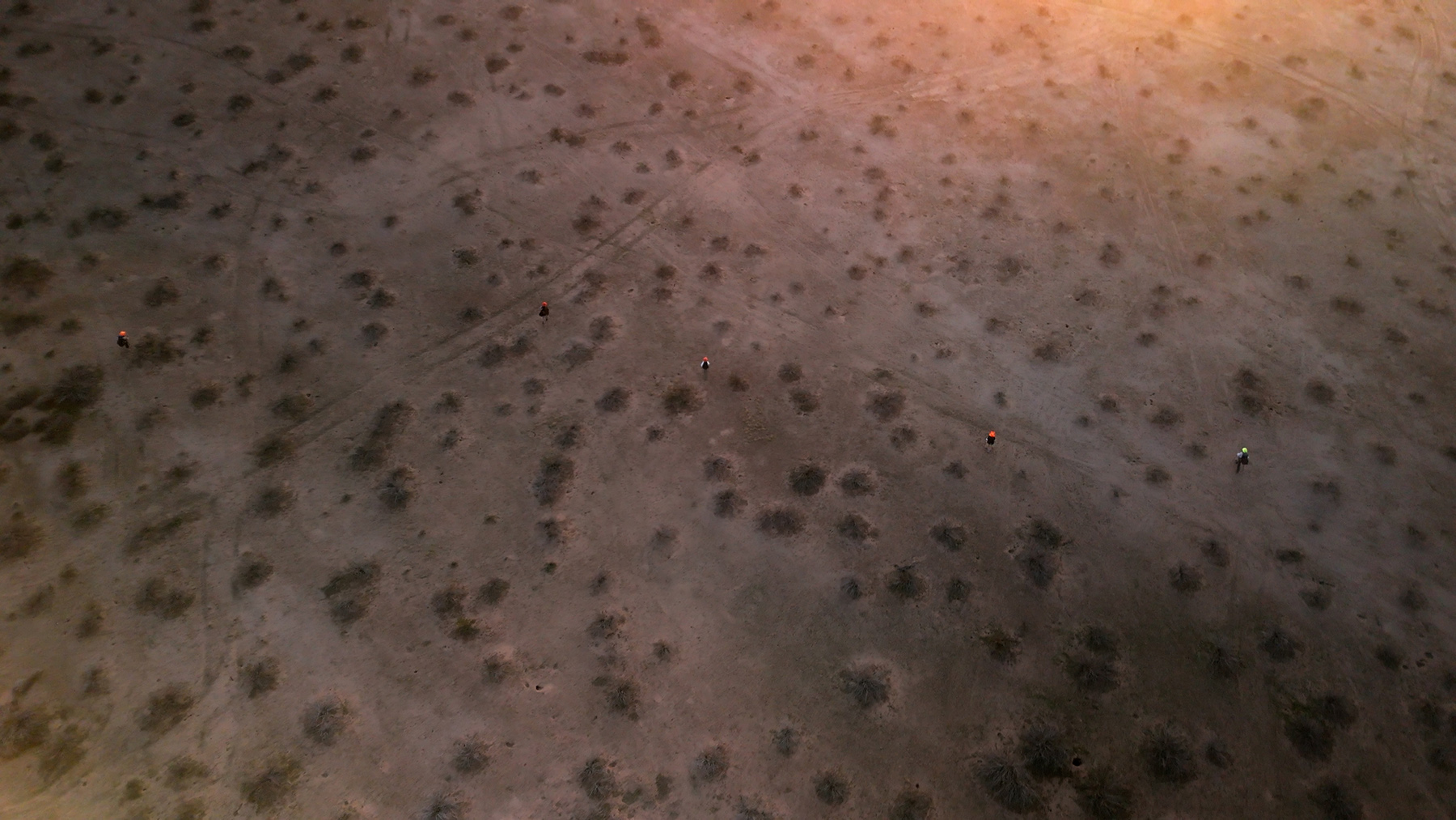 THE-SANDBOX - Un point de vue personnel