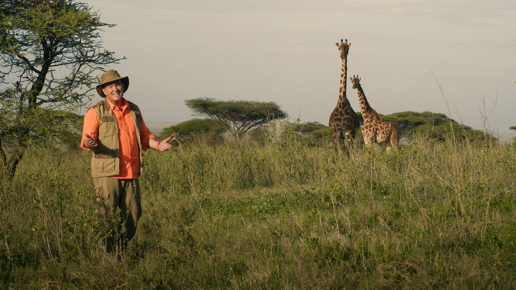 LES AFRICANIMAUX