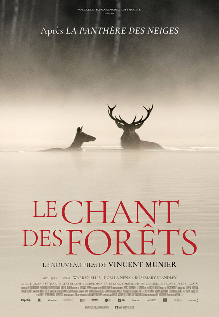 Le chant des forêts - affiche