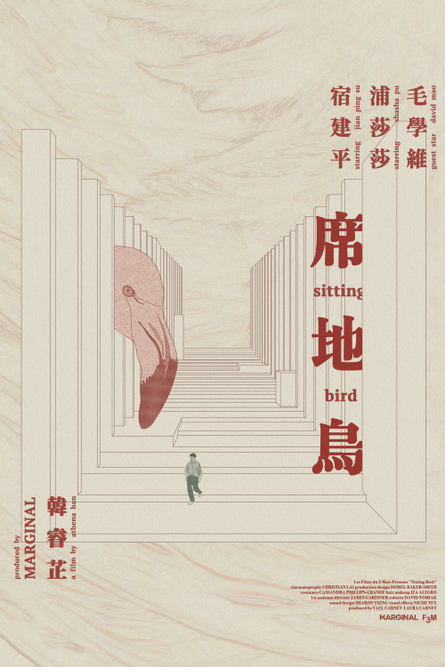 Sitting bird - Affiche