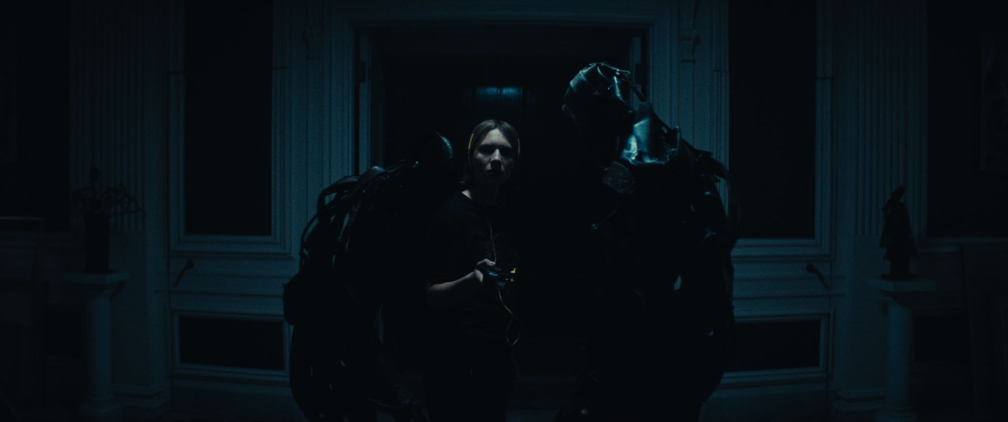 Recluse
