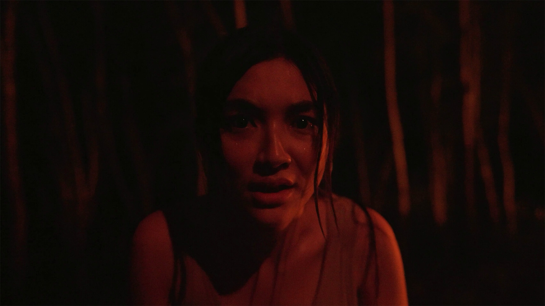 The Last Footage