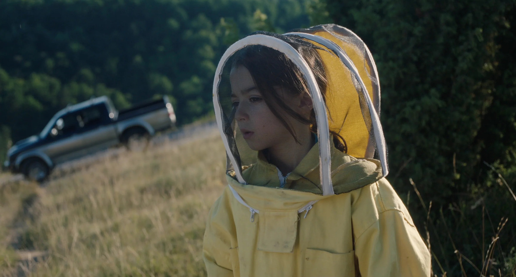 20 000 SPECIES OF BEES