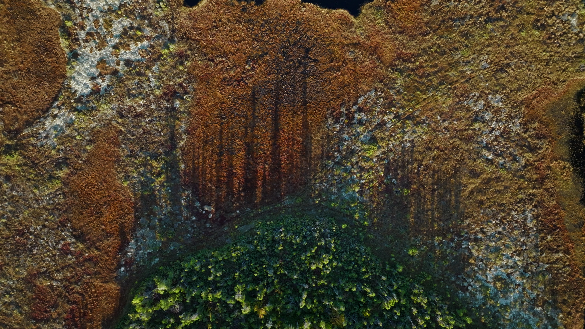 Nitassinan - Une