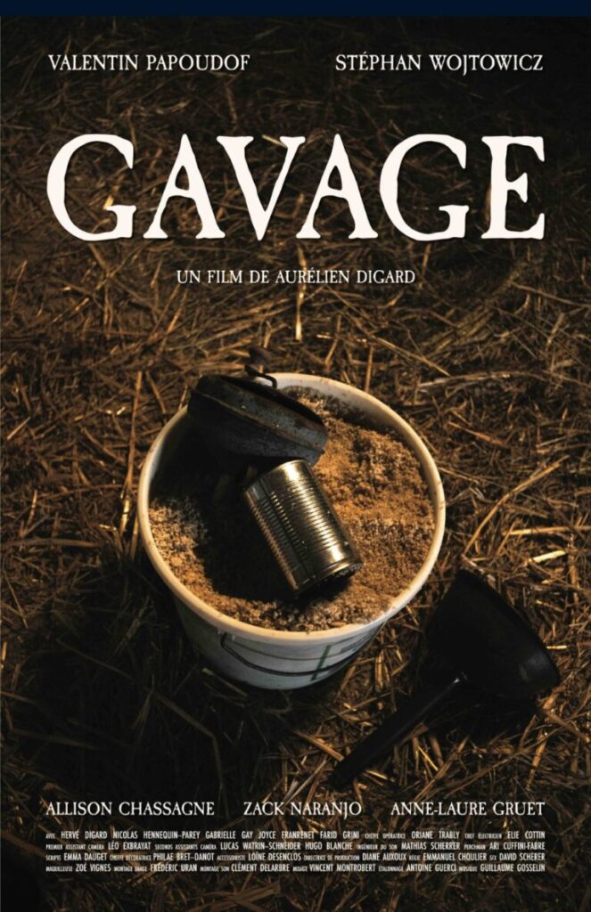 Gavage - Affiche